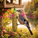 120 Stck Erdnuss-Stangen für Wildvögel a 90g...