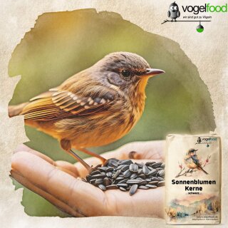 Vogelfood 20 kg Sonnenblumenkerne schwarz Ganzjahresvogelfutter Wildvogelfutter